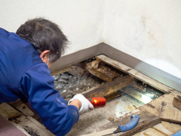 Best Crawl Space Mold Removal  in Browns Lake, WI