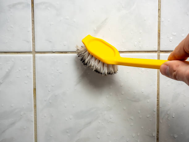 Best Toxic Mold Removal  in Browns Lake, WI
