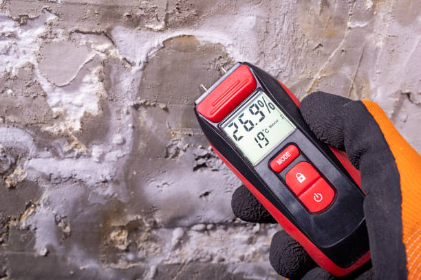 Best Local Mold Removal Service  in Browns Lake, WI