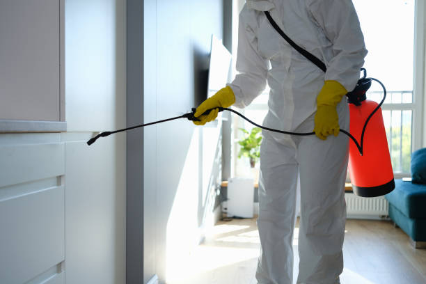 Best Mold Remediation  in Browns Lake, WI