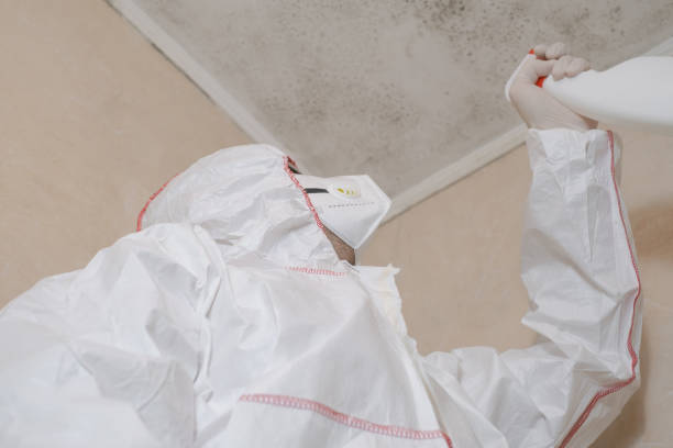Best Certified Mold Removal  in Browns Lake, WI