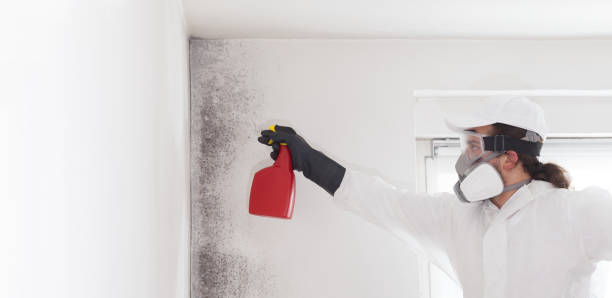 Mold Removal and Inspection in Browns Lake, WI